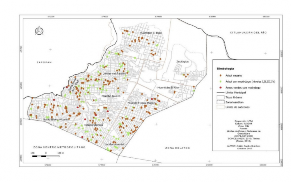 Censo de árboles enfermos y muertos en Distrito Huentitán