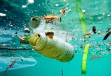 Contaminación de mares por plástico