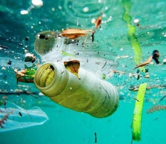 Contaminación de mares por plástico