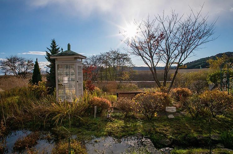 En Japón existe el llamado "Teléfono de viento", en donde los deudos charlan con sus seres amados fallecidos