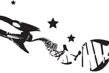 Nuestro ADN llegó a las estrellas