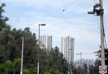 El bosque de las discordias