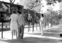 Ciencia y arte para la vista