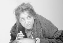 Los cerdos en su granja