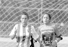 Leonas con paso firme