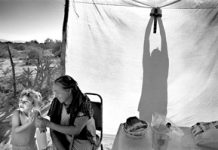 Supervivientes del desierto