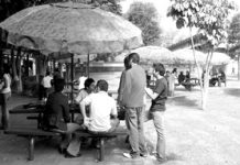 Puentes de colaboración