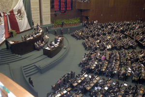 AMARA DE DIPUTADOS