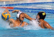 Acostumbrados al oro