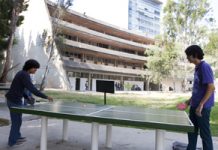 Mayor promoción al deporte