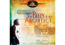 LA PANZA DEL ARQUITECTO