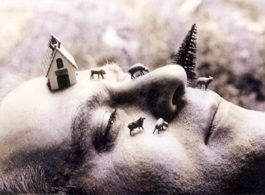 La irónica mirada de la realidad