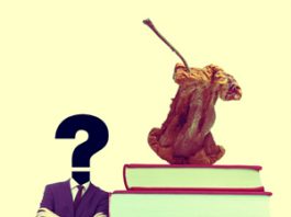 Cobertura educativa racionalidad o intransigencia política