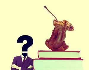 Cobertura educativa racionalidad o intransigencia política