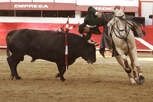 DIEGO VENTURA
