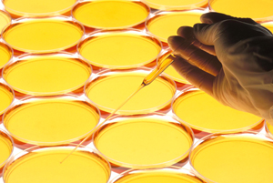 ¿Qué hacemos con la ciencia?