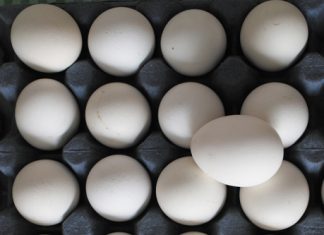 Los retos de la producción avícola