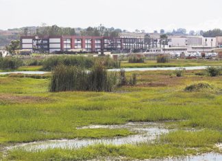 Recuperar un paraíso