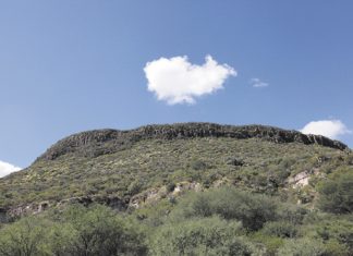 Un emblema en peligro