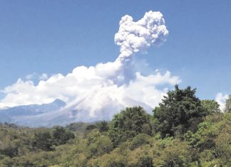 Nuevos programas para la región