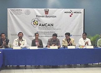 Apoyo a la agricultura con abejorros endémicos