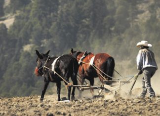 Investigación enfocada en la salud