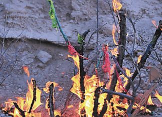 Las voces de la vinculación