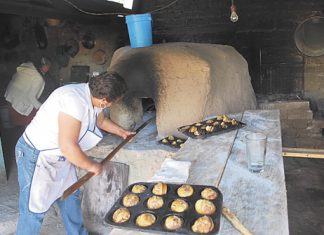 Turismo sustentable en la región