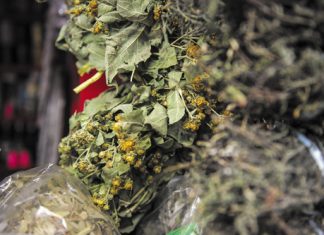 Alternativas desde la herbolaria