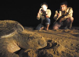 Evitar la extinción