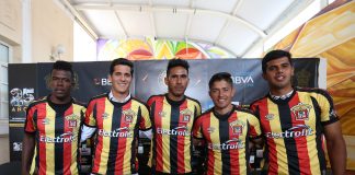 Leones Negros