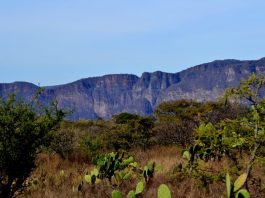 Bosque Tropical Caducifolio de Ixtlahuacán del Río