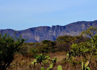 Bosque Tropical Caducifolio de Ixtlahuacán del Río