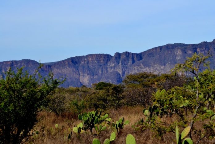 Bosque Tropical Caducifolio de Ixtlahuacán del Río