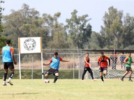Leones Negros de la Universidad de Guadalajara