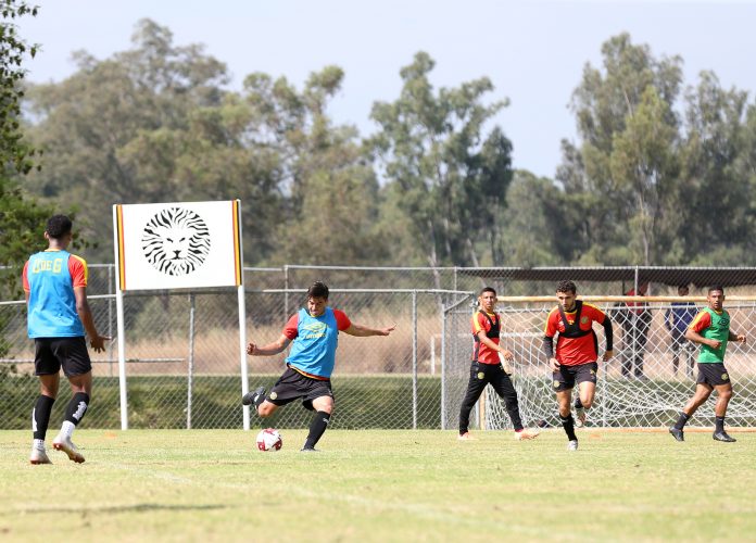 Leones Negros de la Universidad de Guadalajara