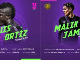 Llegan dos refuerzos más a la manada Leones Negros refuerzos