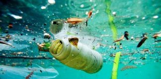 Contaminación de mares por plástico