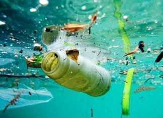 Contaminación de mares por plástico