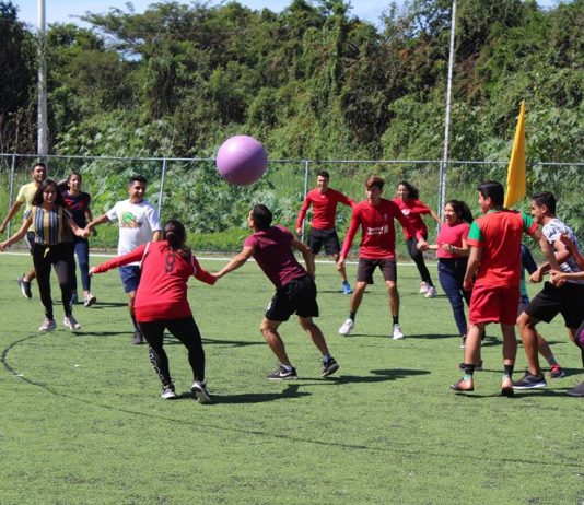 Cultura Física y Deportes del CUCosta en vías de acreditación