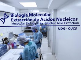 UdeG asumió un papel activo en el combate del COVID-19: Rector General