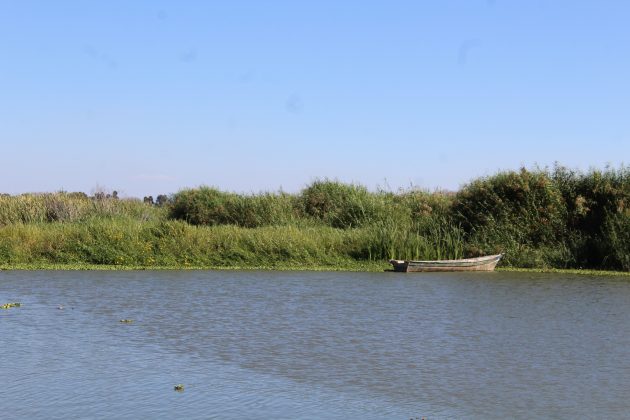 Canal Ballesteros, frente al Lago de Chapala, en Jamay