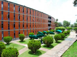 Lanza reto UdeG a Gobierno de Jalisco: demostrar amor de verdad CUCSH UdeG La Normal
