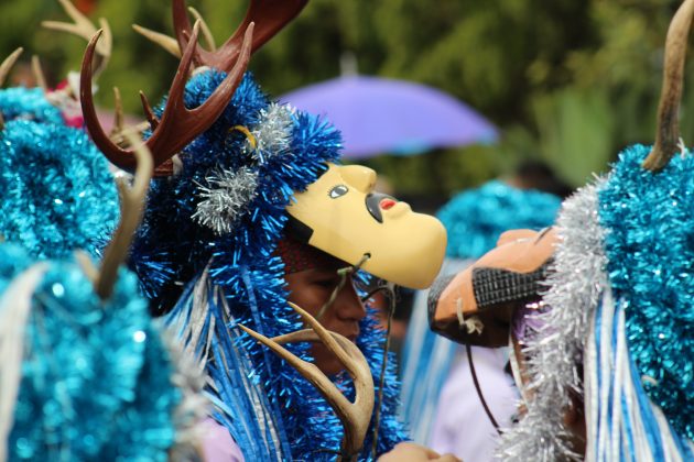 Fiesta de San Sebastián con chalacayotes en Tuxpan. Fotografía: Iván Serrano Jauregui