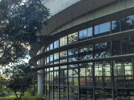 “Lo que la pandemia nos leyó” a través de internet