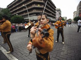 Las aves, protagonistas de los tradicionales sones de mariachi