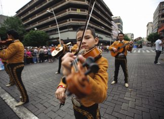Las aves, protagonistas de los tradicionales sones de mariachi
