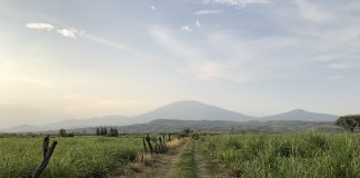 Brecha en el campo