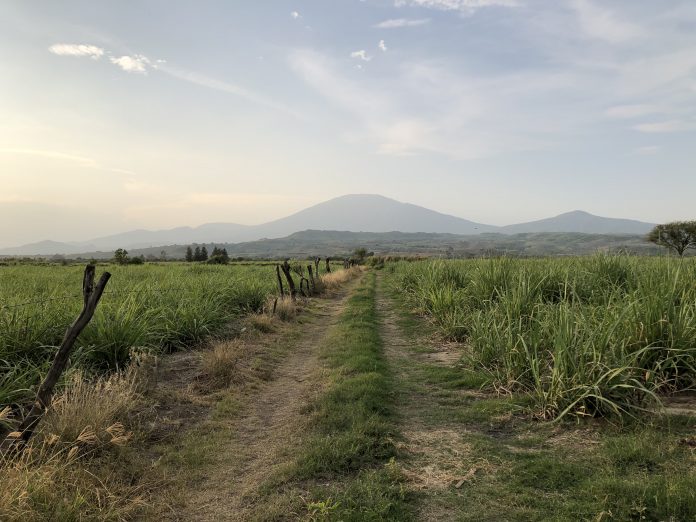 Brecha en el campo