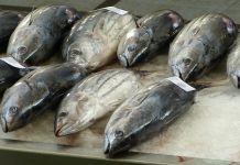 Recomiendan consumo seguro de pescados y mariscos